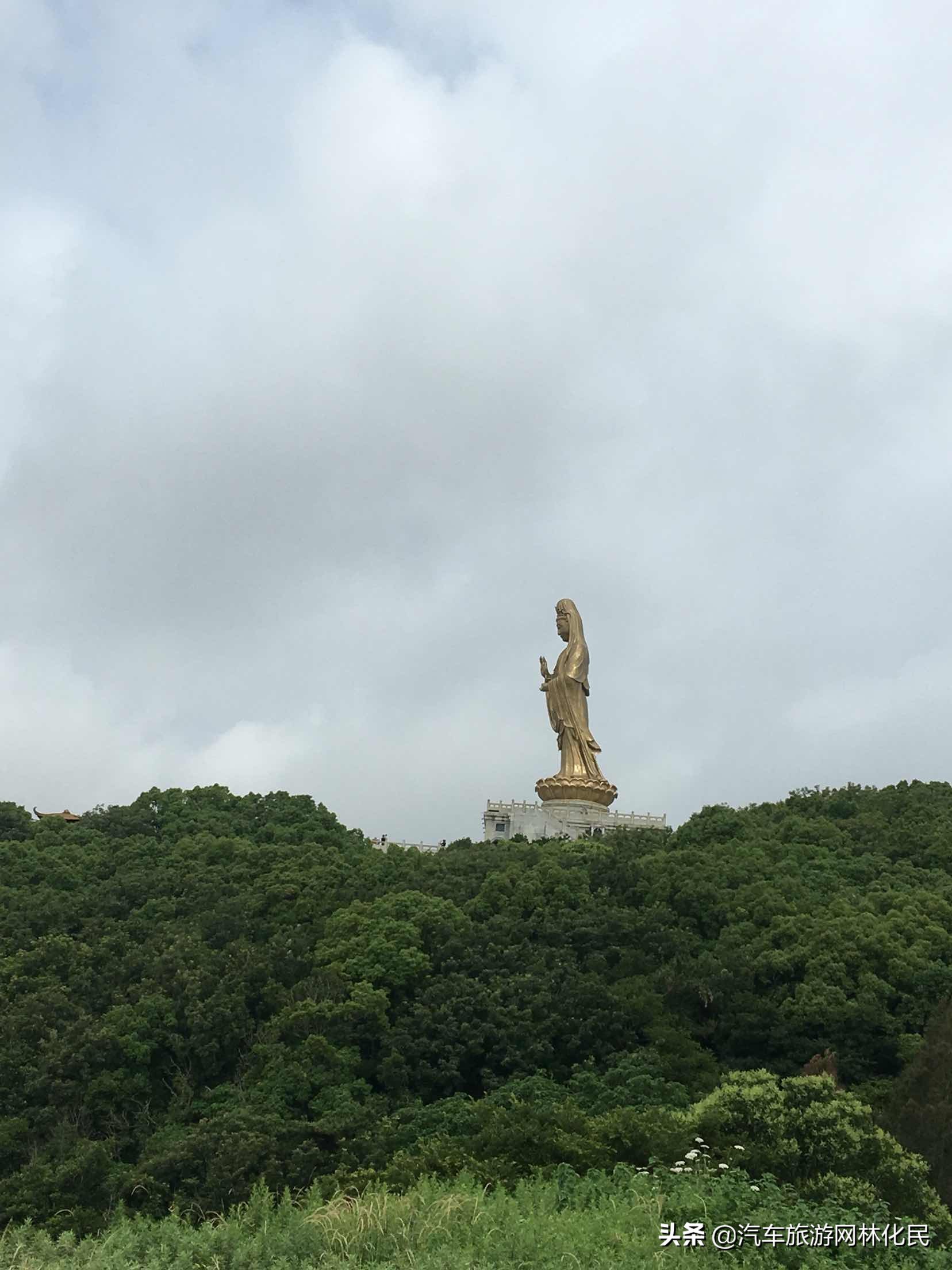 临沂直飞普陀山国家5A级旅游景区三日游