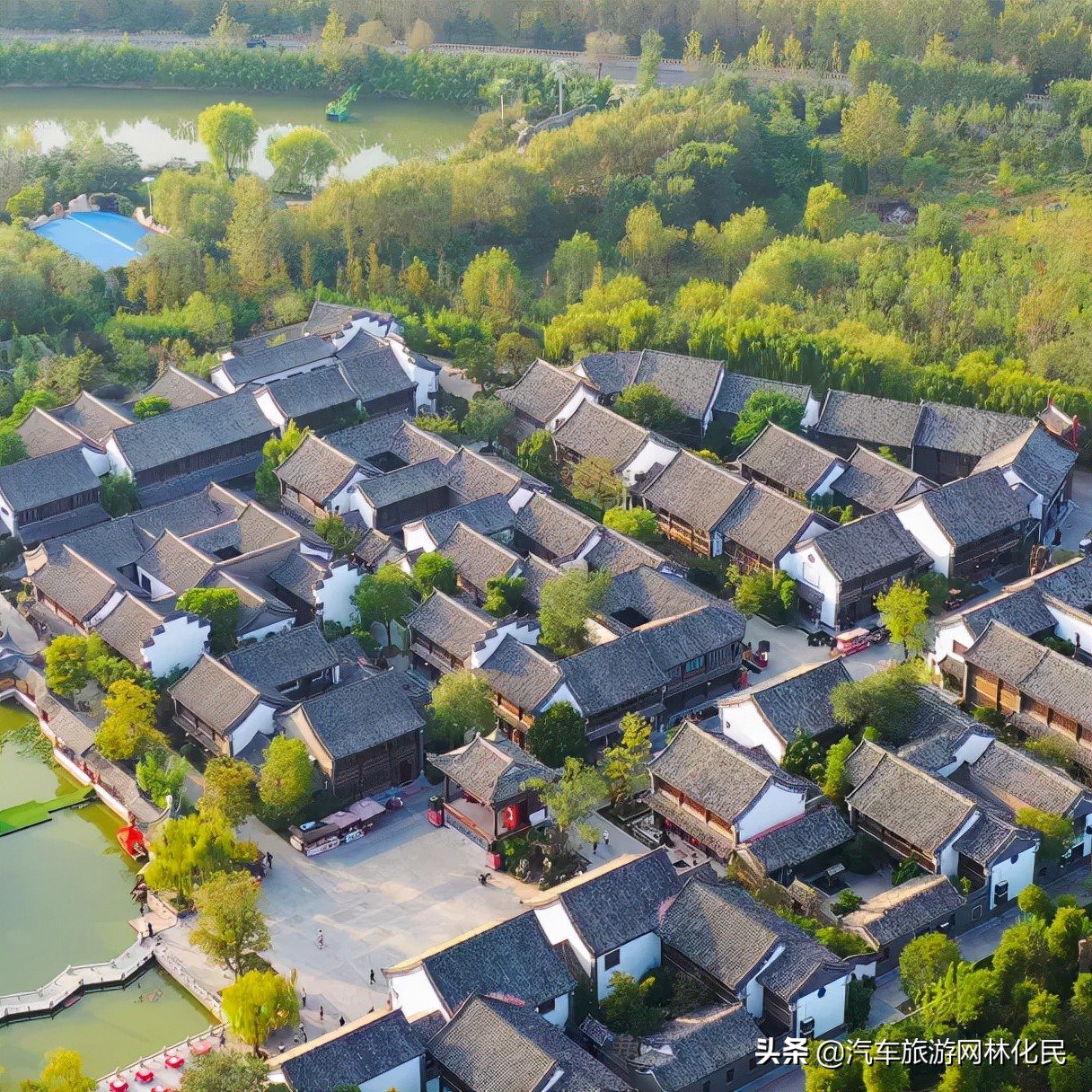 龙园重阳节专属特惠暖心来袭!免费畅游