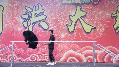 蒙阴刘洪欢乐谷:吴桥杂技周 国庆七天乐