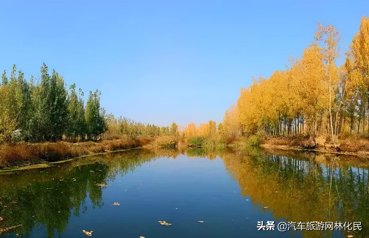 临沂深秋“色彩地图”来啦!带你欣赏“醉美”深秋