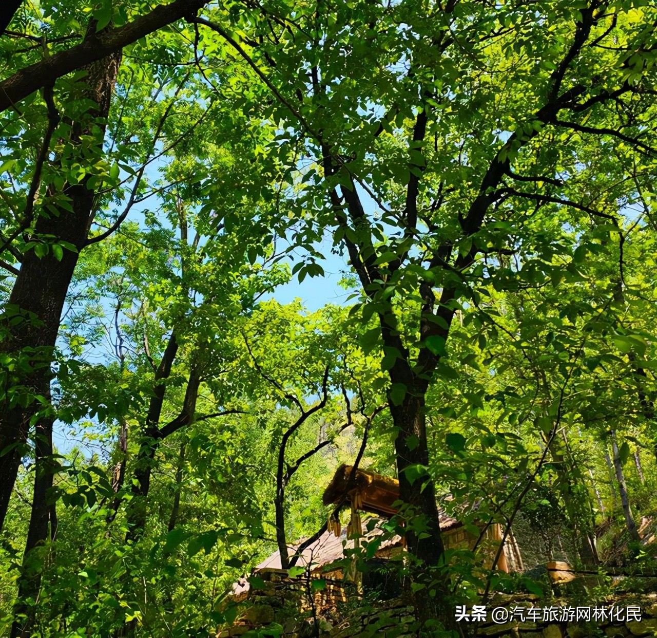 怀旧村落,费县利山涧